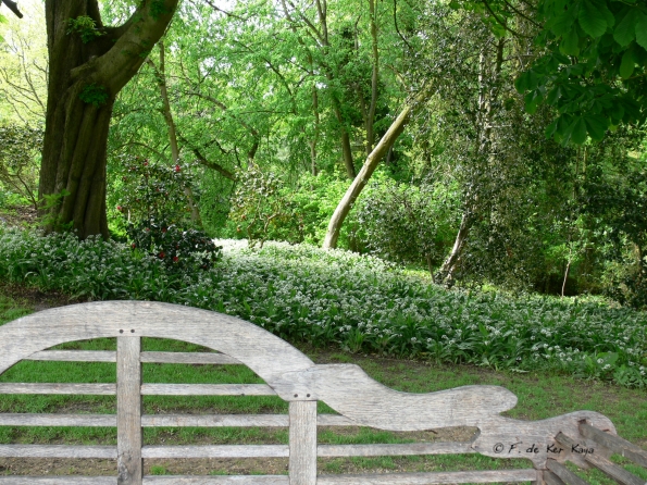 Bois des Moutiers (79) Mai 2012